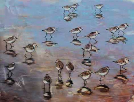 'snowy plovers'
18 x 23.5
oil on aluminum